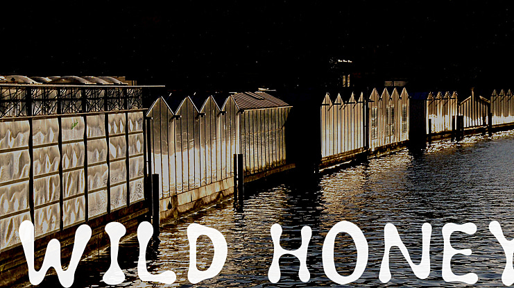 Wild honey Font
