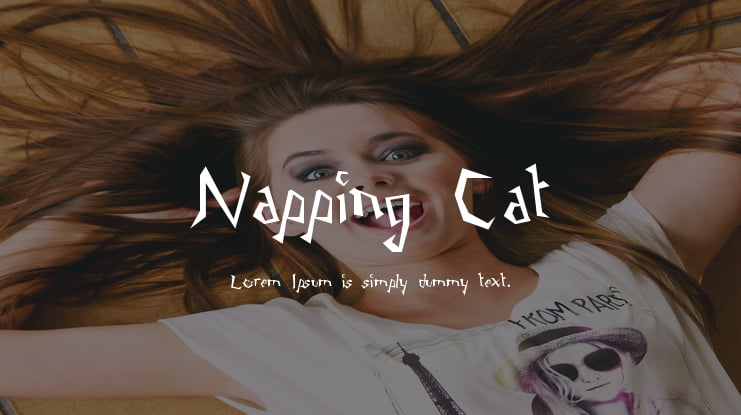 Napping Cat Font