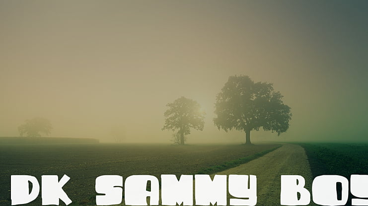 DK Sammy Boy Font