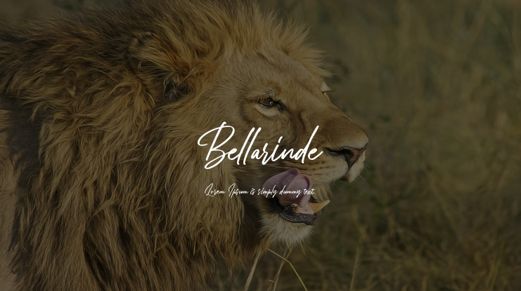 Bellarinde Font