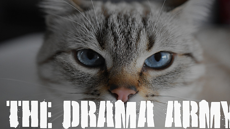 the Drama Army Font