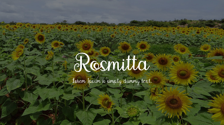Rosmitta Font