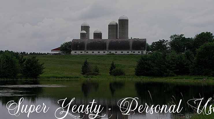 Super Yeasty - Personal Use Font