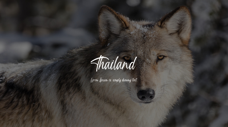 Thailand Font