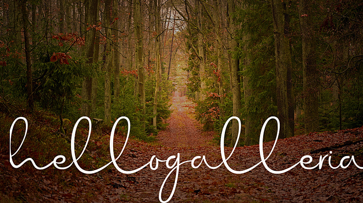 hellogalleria Font