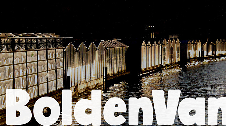BoldenVan Font