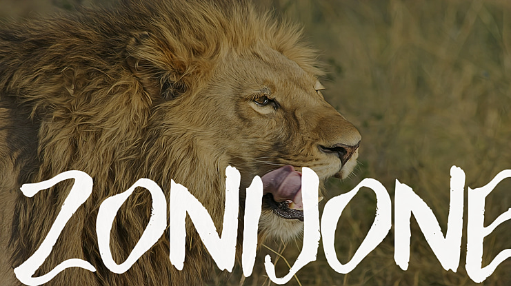 Zonijone Font