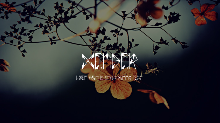 XENDER Font