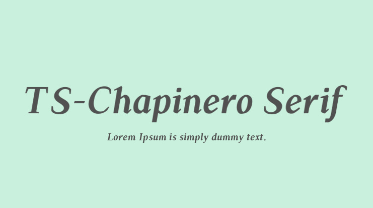 TS-Chapinero Serif Font Family