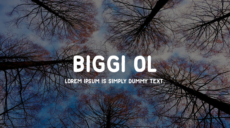 Biggi Ol Font