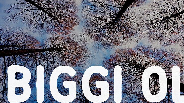 Biggi Ol Font
