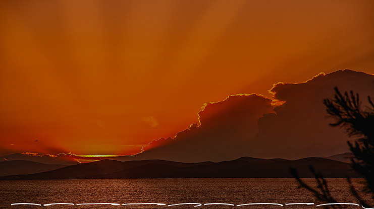 Rottersand Swash Font Family