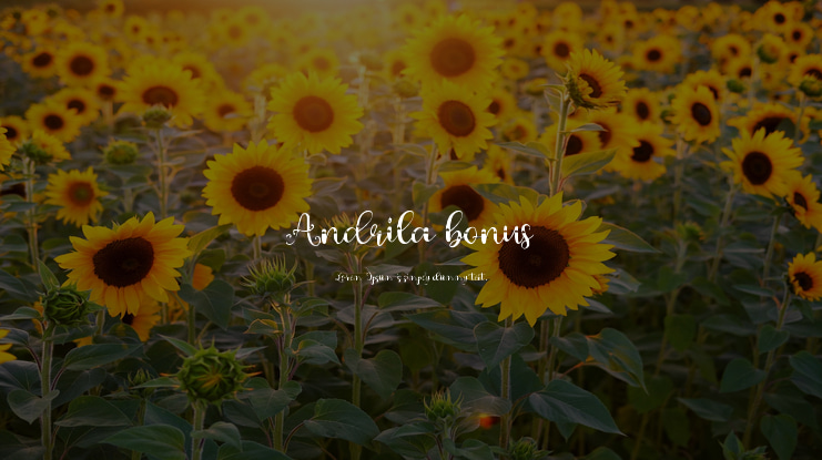 Andrila bonus Font