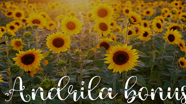 Andrila bonus Font