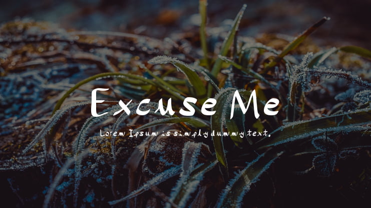 Excuse Me Font