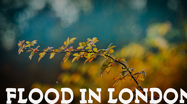 Flood In London Font