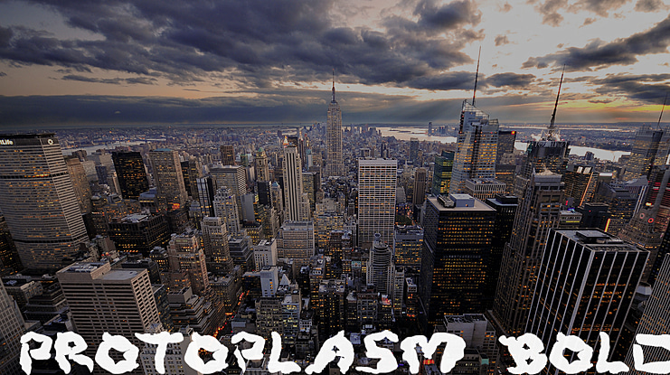 Protoplasm Font Family