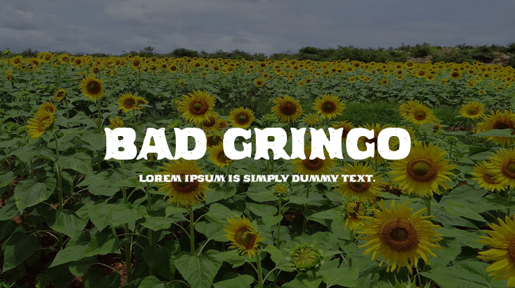 Bad Gringo Font