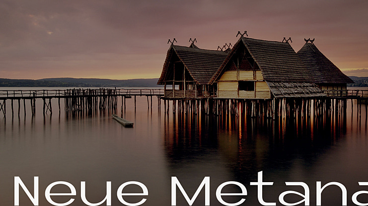 Neue Metana Font Family