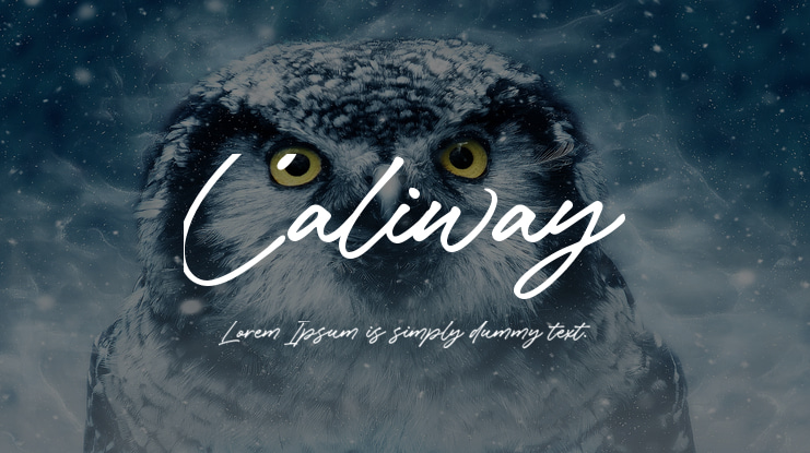 Caliway Font