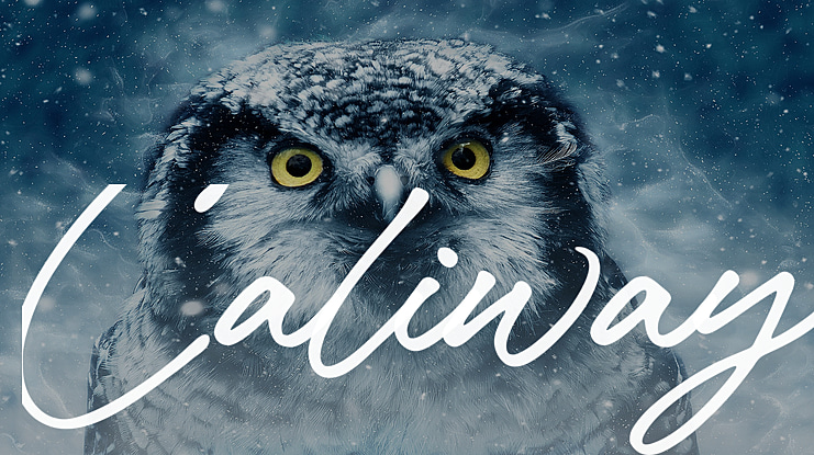 Caliway Font