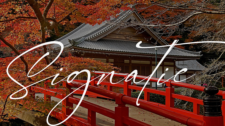 Signatie Font