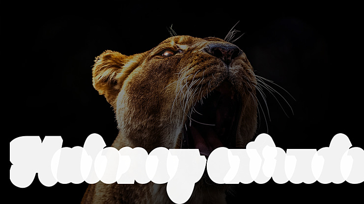 Maloney extrude Font Family