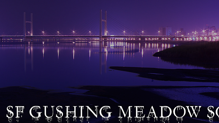 SF Gushing Meadow Font Family