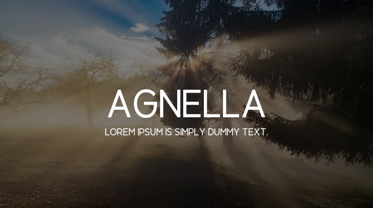 Agnella Font Family