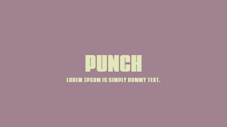 Punch Font Family