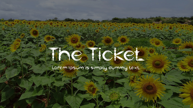 The Ticket Font Family