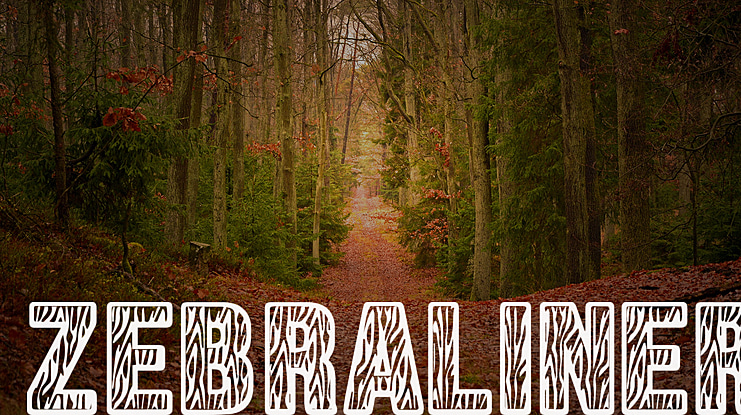Zebraliner Font