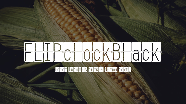 FLIPclockBlack Font Family