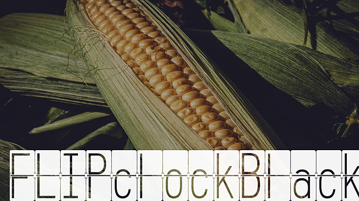 FLIPclockBlack Font Family