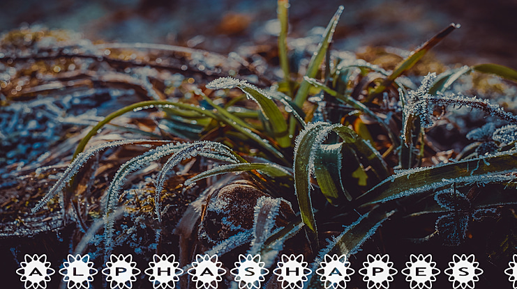 AlphaShapes flowers 2 Font