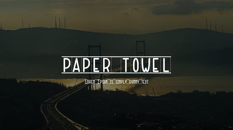 PAPER TOWEL Font