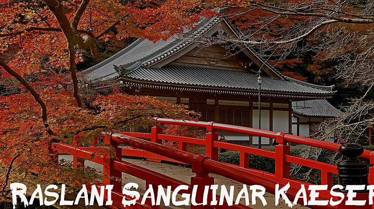 Raslani Sanguinar Kaeser Font