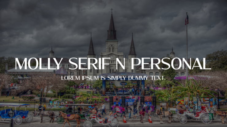 Molly Serif N PERSONAL Font Family