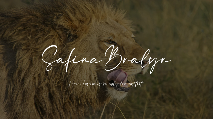 Safina Bralyn Font