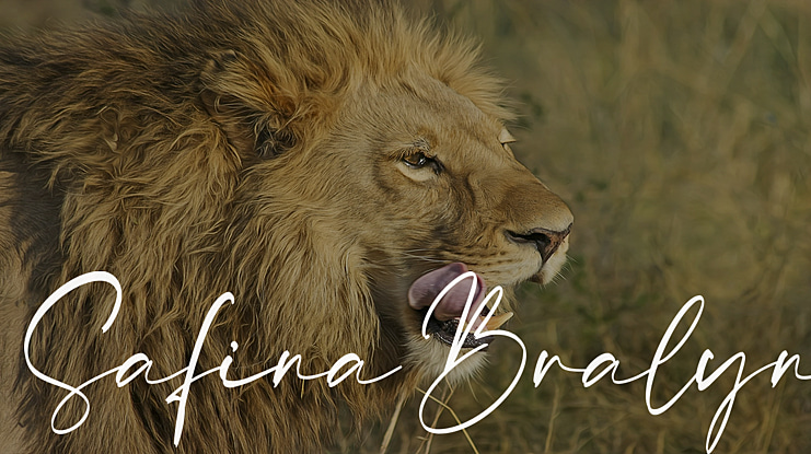 Safina Bralyn Font