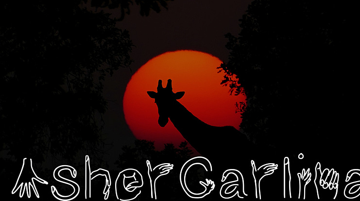AsherCarlina Font
