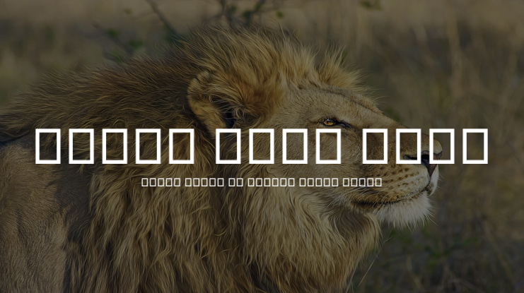 Droid Sans Thai Font