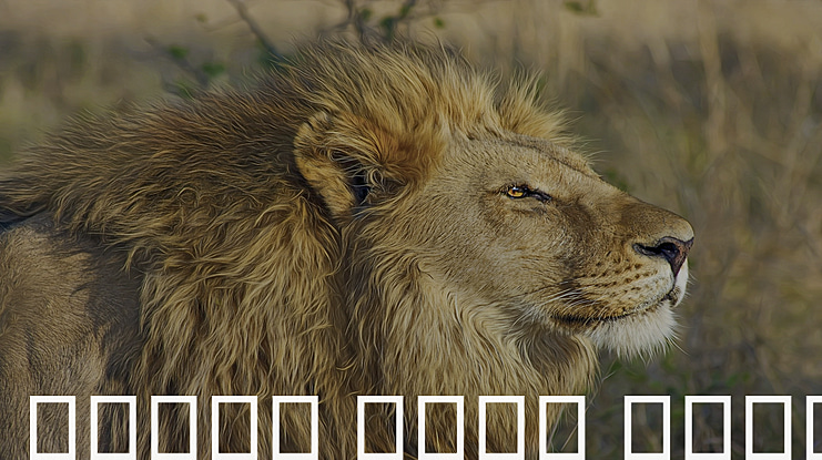 Droid Sans Thai Font