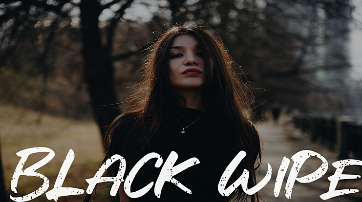 Black Wipe Font