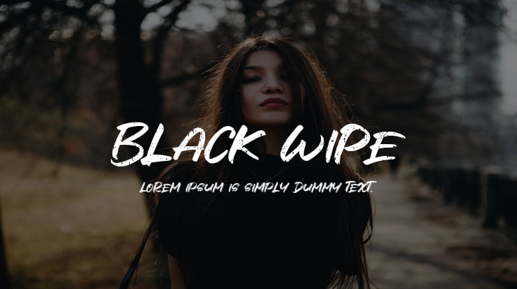 Black Wipe Font