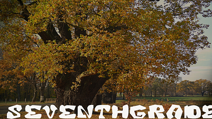 SeventhGRADE Font