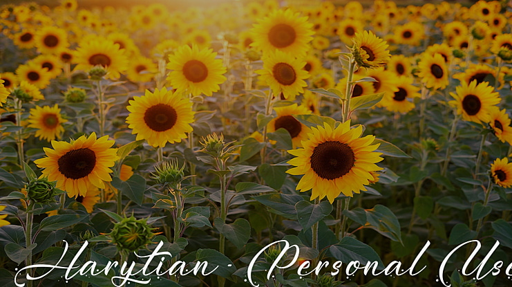Harytian - Personal Use Font