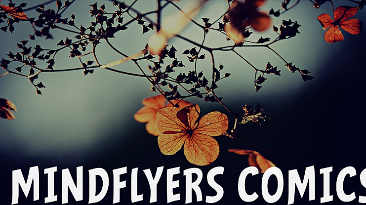 Mindflyers Font Family