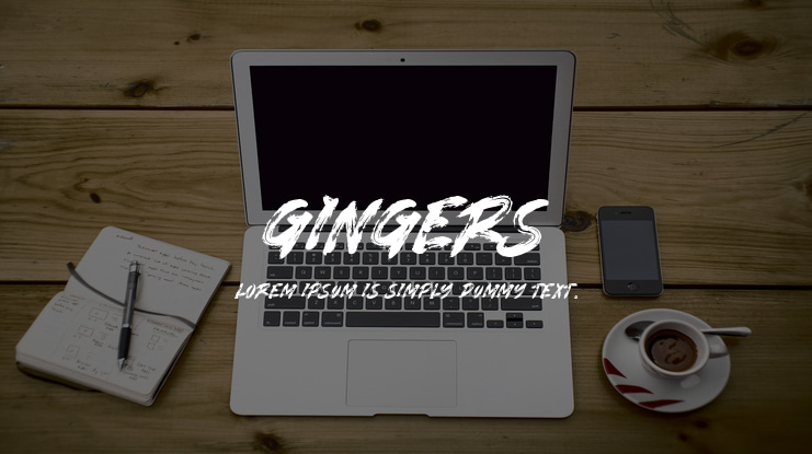 GINGERS Font