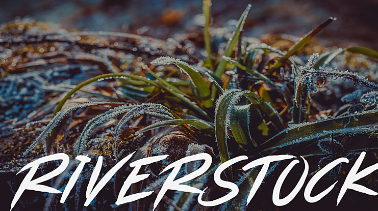 RIVERSTOCK Font